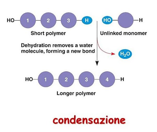 polimerizzazione per condensazione
